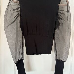 Zara Black Blouse with Sheer Sleeves